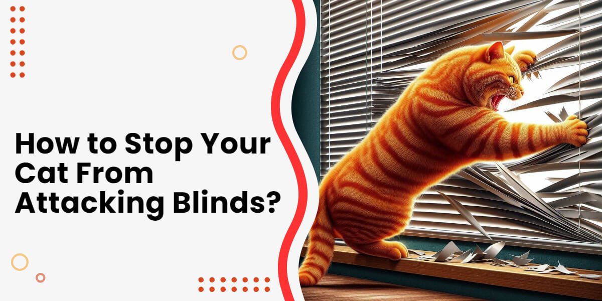 how to stop cats from attacking blinds