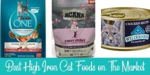 3 Best High Iron Cat Foods: Reviews and Buyer's Guide (2024)