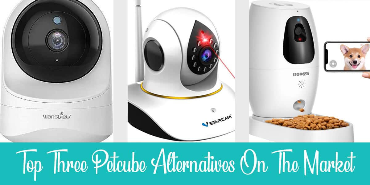 Petcube Alternatives