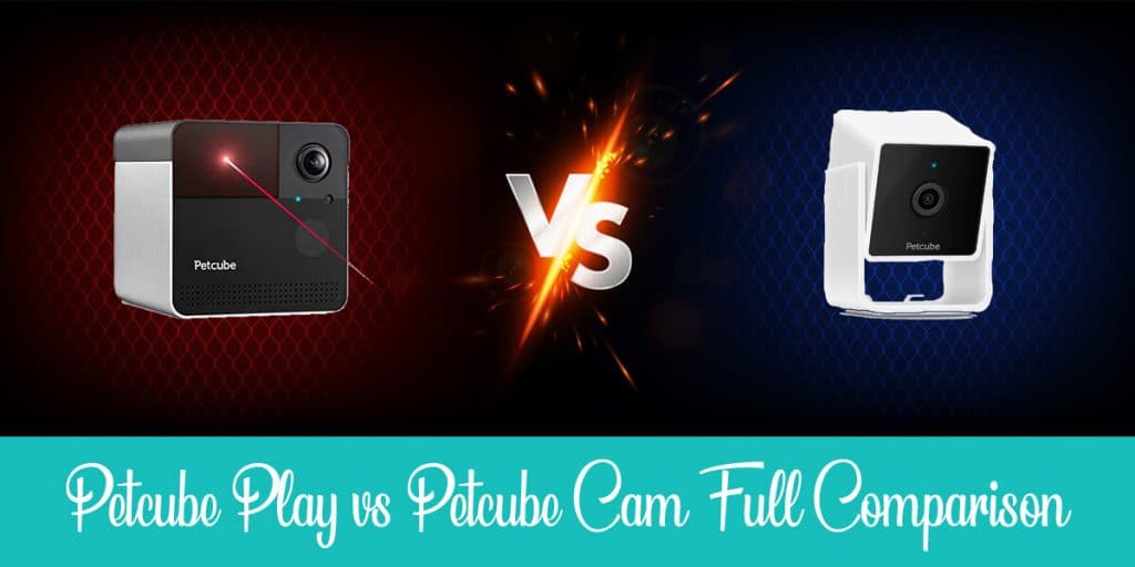 Petcube Cam vs. Petcube Play What's The Difference? Raise a Cat
