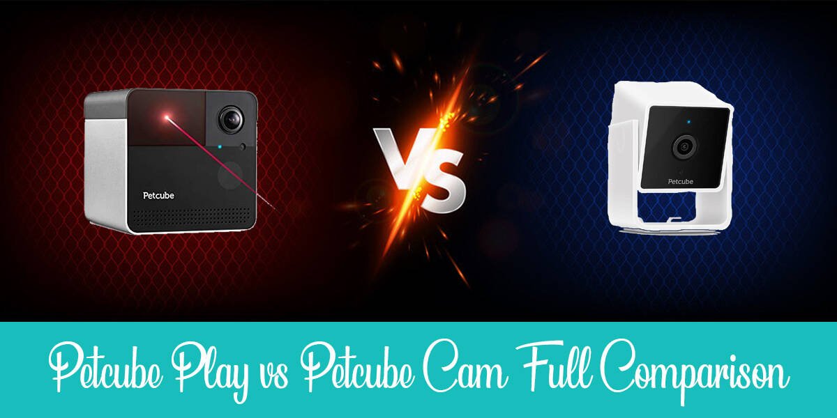 Petcube Cam vs. Petcube Play