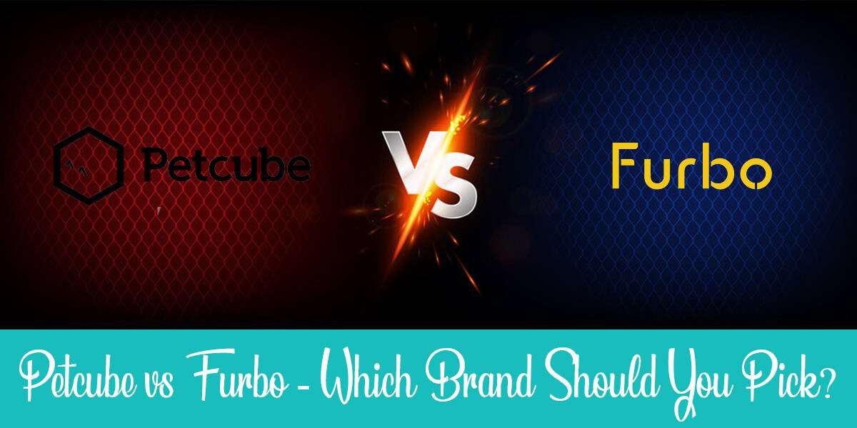 Petcube vs Furbo For Cats: What Are the Differences?