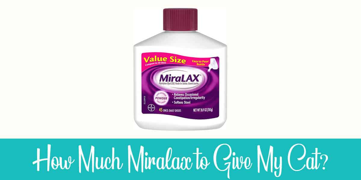 How Much Miralax for a 17-Pound Cat? All You Need to Know