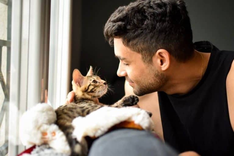 Are Female Cats More Affectionate Than Male Cats