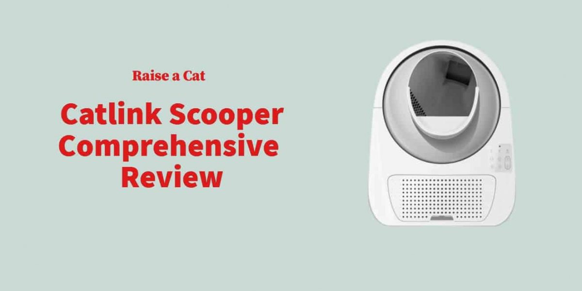 Catlink Scooper Review: Full Guide [with pictures]