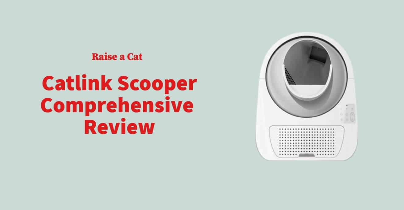 Catlink Scooper Review