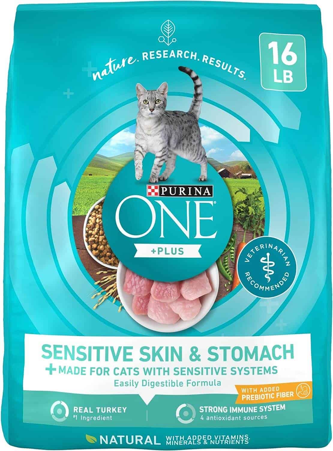<strong>Purina ONE Sensitive Skin & Stomach Formula</strong>