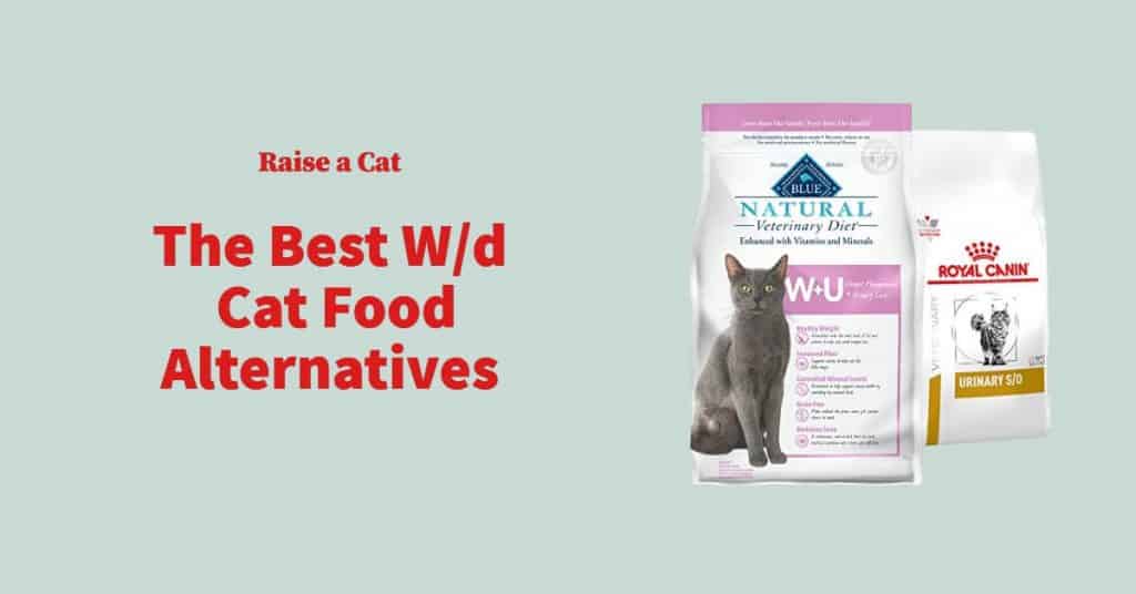 W/D Cat Food Equivalents: Top 5 Options | Raise a Cat