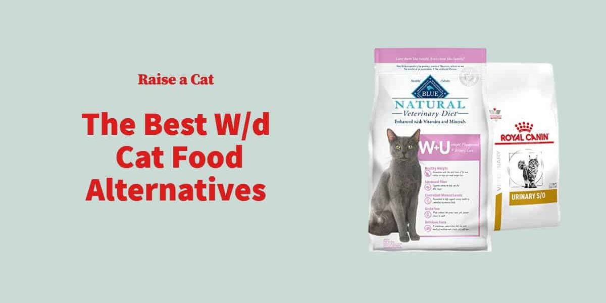 W/D Cat Food Equivalents: Top 5 Options