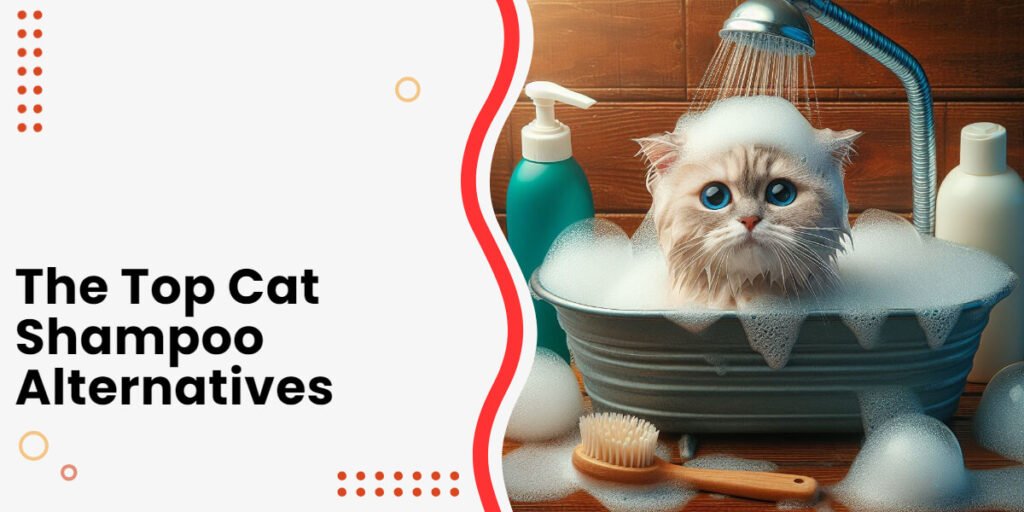 5 Cat Shampoo Alternatives Options, Safety, DIY Guide