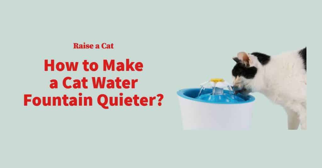 How to Make a Cat Water Fountain Quieter? (Full Guide)