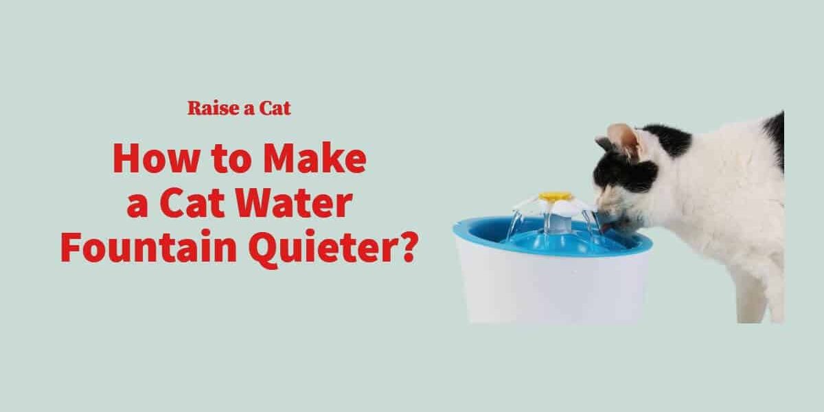 How to Make a Cat Water Fountain Quieter?