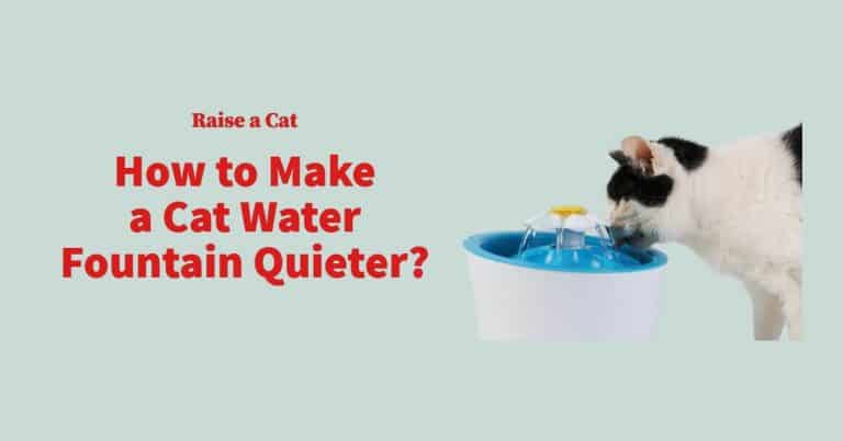 how-to-make-a-cat-water-fountain-quieter-full-guide