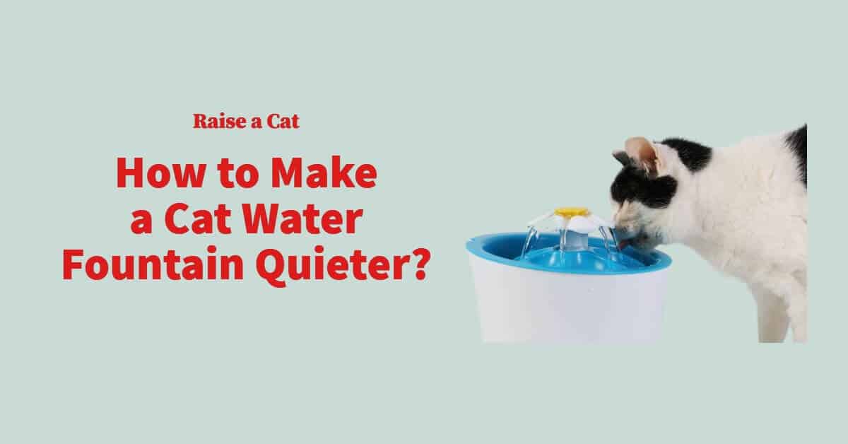 How to make a cat water fountain quieter