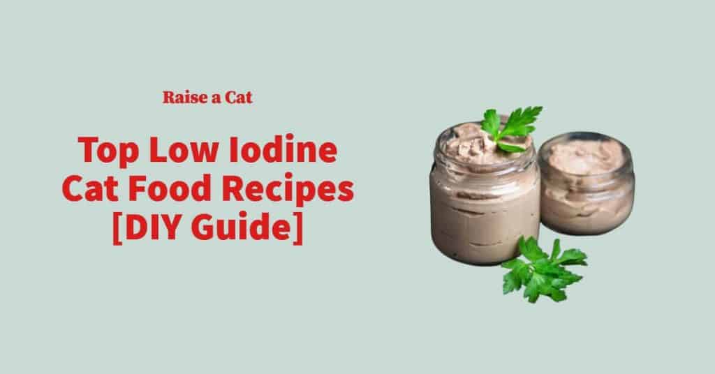 7 Easy Homemade Low Iodine Cat Food Recipes Raise a Cat