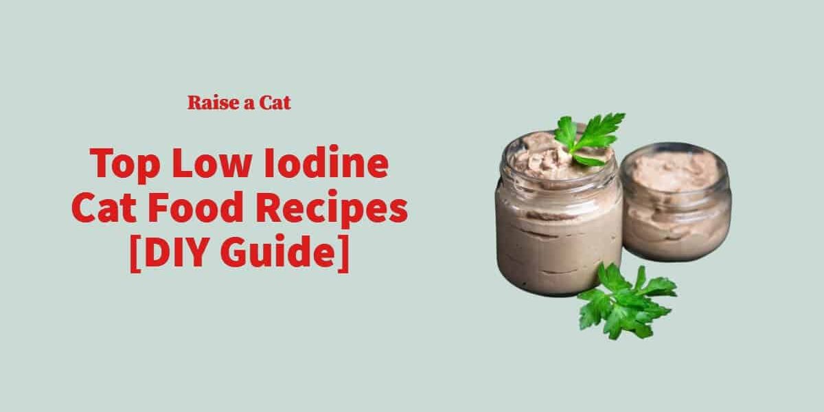 7 Easy Homemade Low Iodine Cat Food Recipes