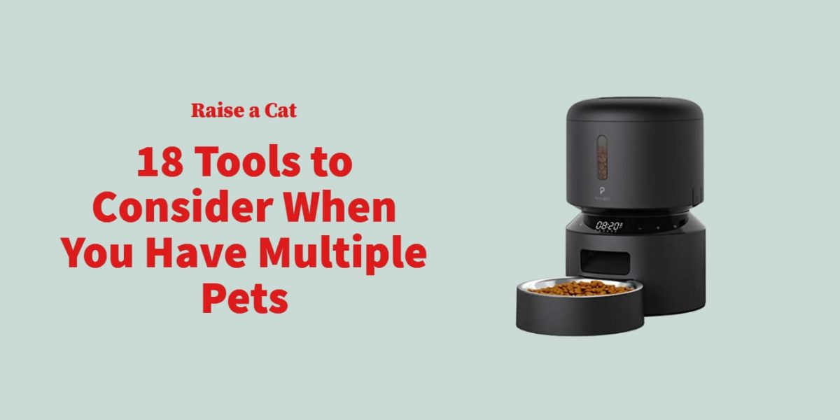 Tools To Consider When You Have Multiple Pets At Home