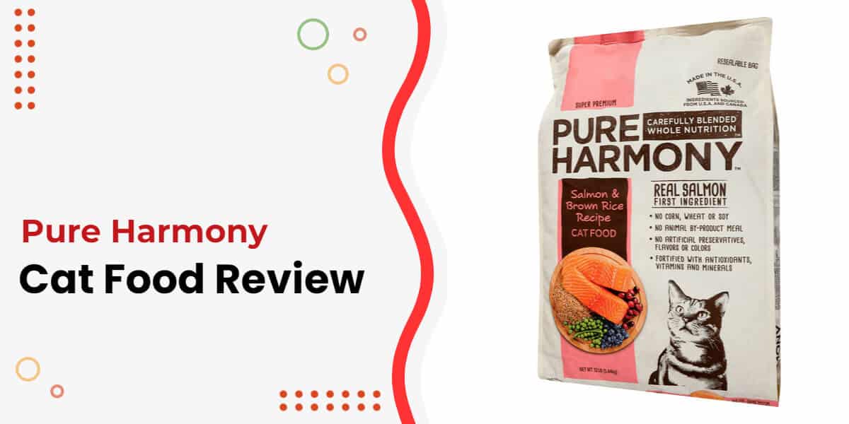 Pure Harmony Cat Food Review for 2024 (+ Best Alternatives)