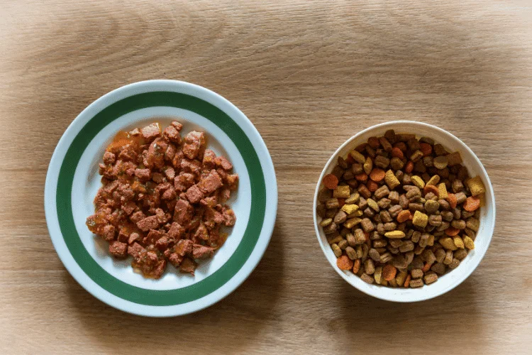 soft & dry cat food