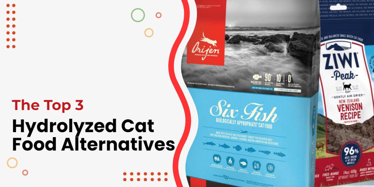 Alternatives to Hydrolyzed Cat Food: Top 3 Reviewed