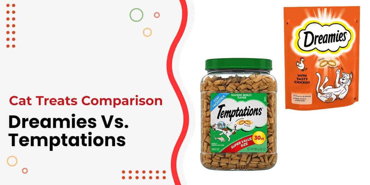 Dreamies Vs. Temptations