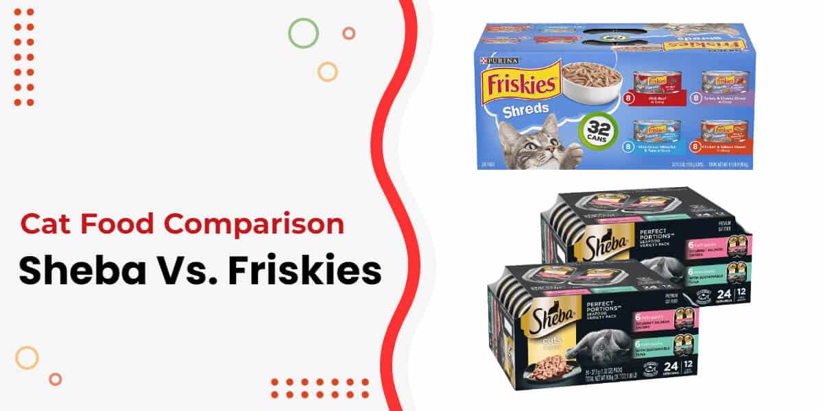 Friskies Vs. Sheba