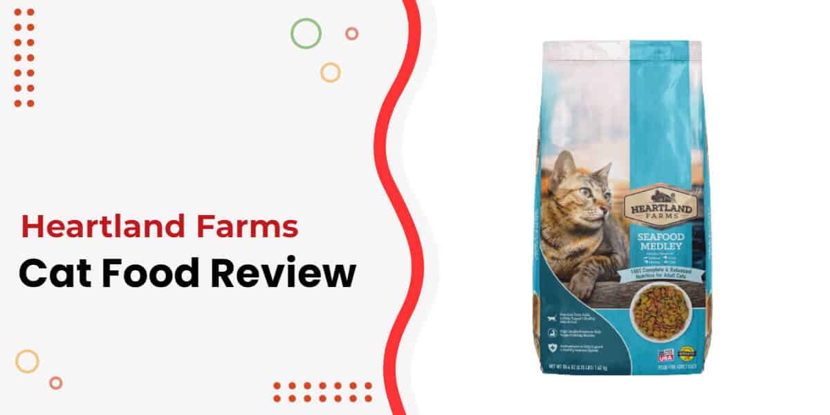 Heartland Farms Cat Food Review Rating And Alternatives [2024]