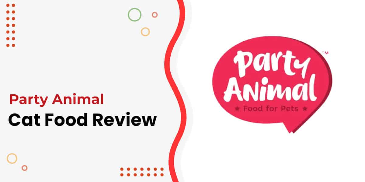 Party Animal Cat Food Review