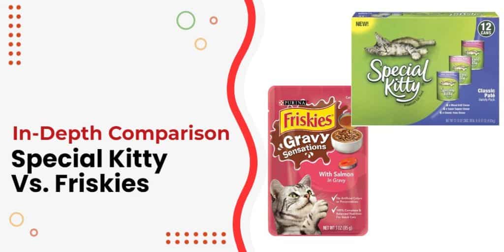 Special Kitty Vs. Friskies Which Is The Better Cat Food?