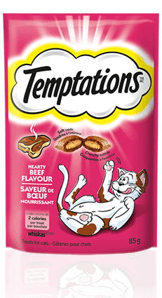  Temptations