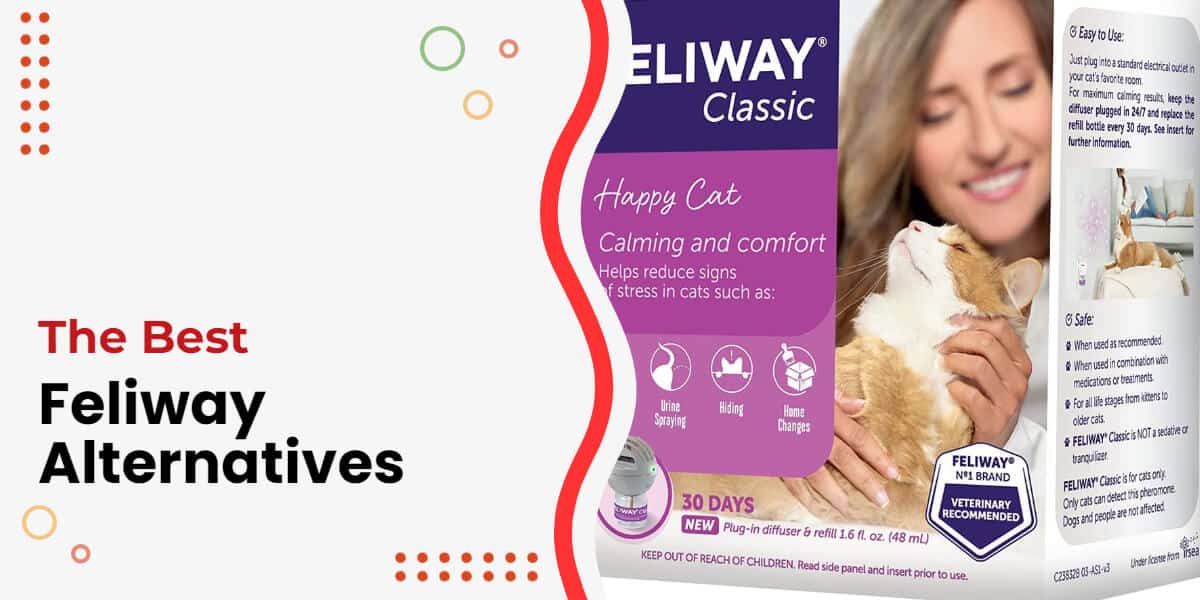 The 5 Best Feliway Alternatives With Outstanding Results