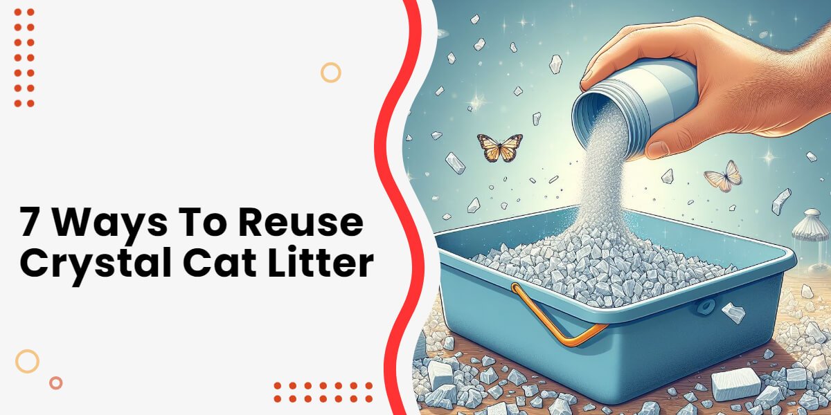 How to Reuse Crystal Cat Litter 7 ResourceSaving Ways