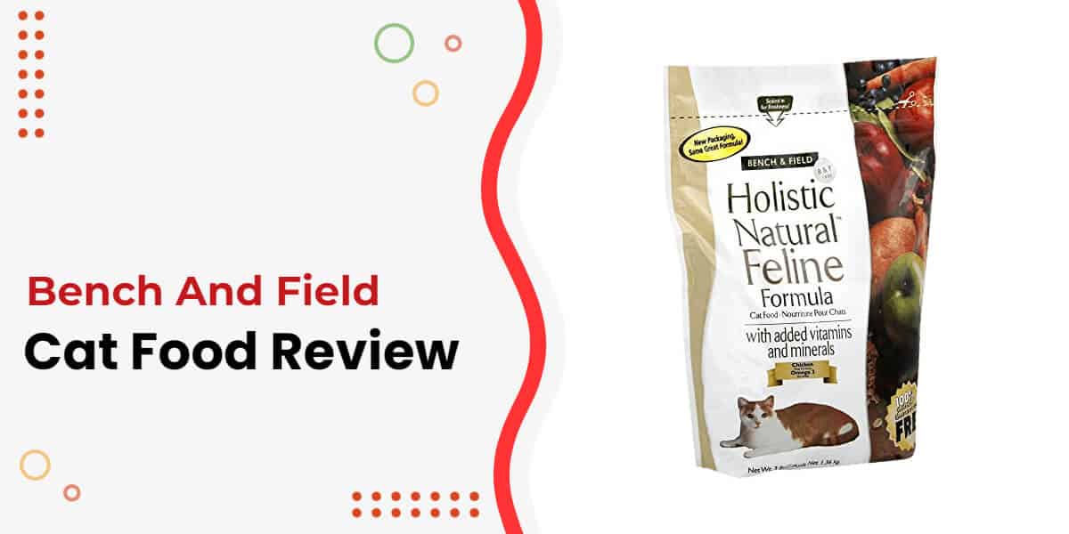 Bench and Field cat food review