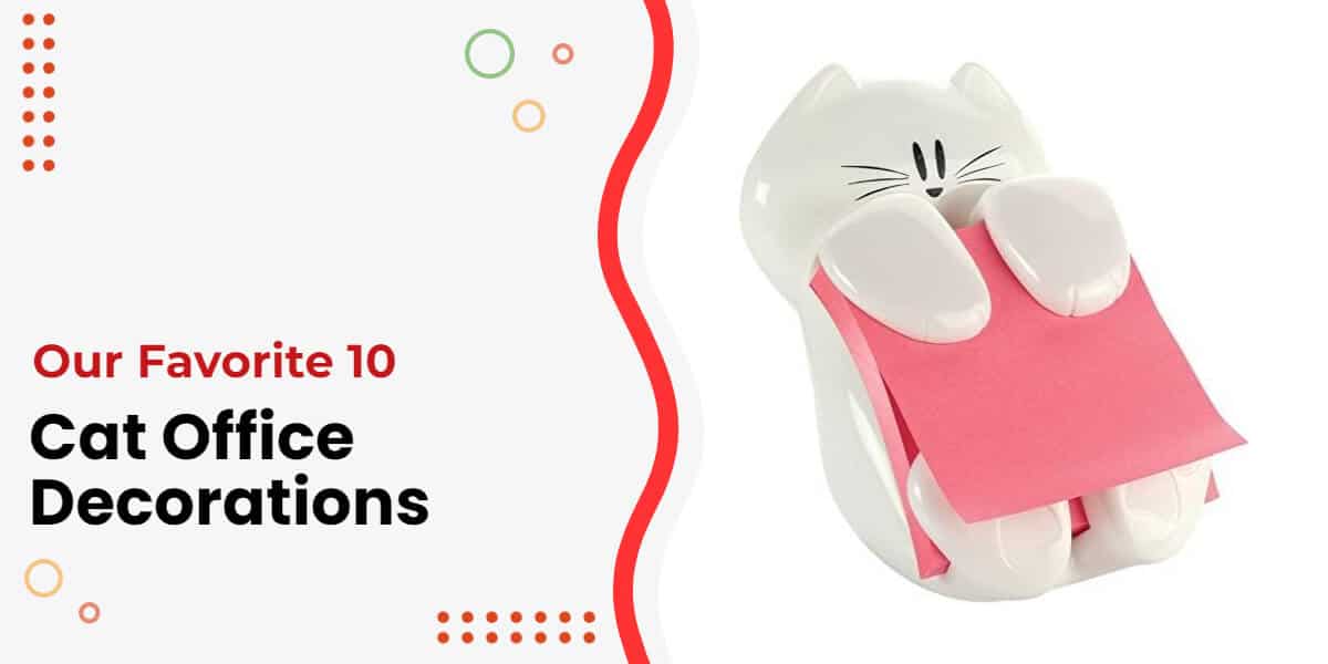 Best Cat Office Decor