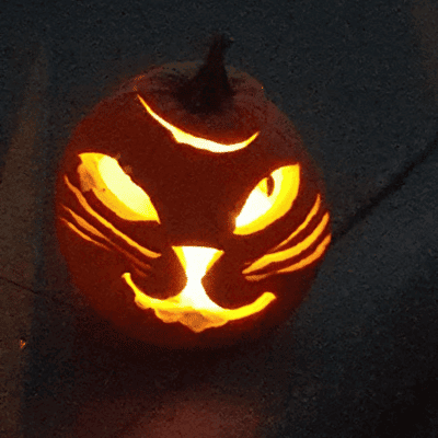 10 Pumpkin Cat Carving Ideas That Can't Be More Spooky