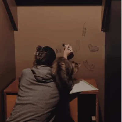 Cat Room Under the Staircase