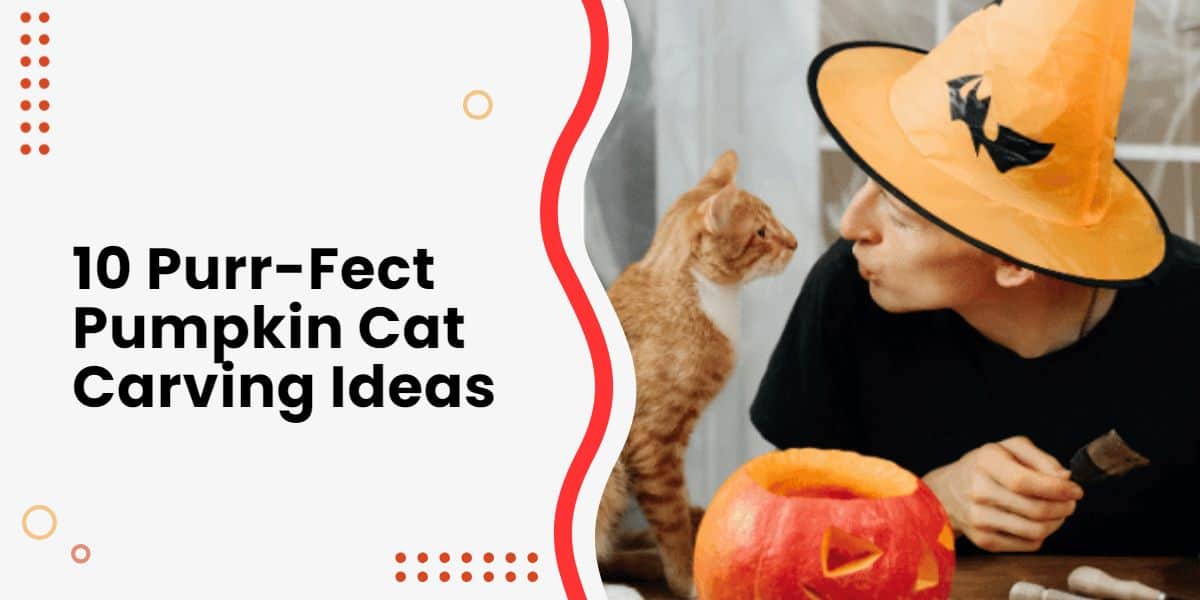 10 Purr-Fect Pumpkin Cat Carving Ideas