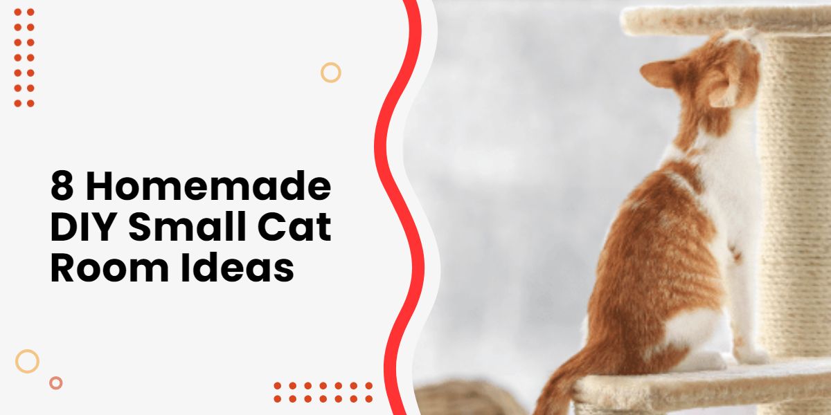 8 Homemade DIY Small Cat Room Ideas