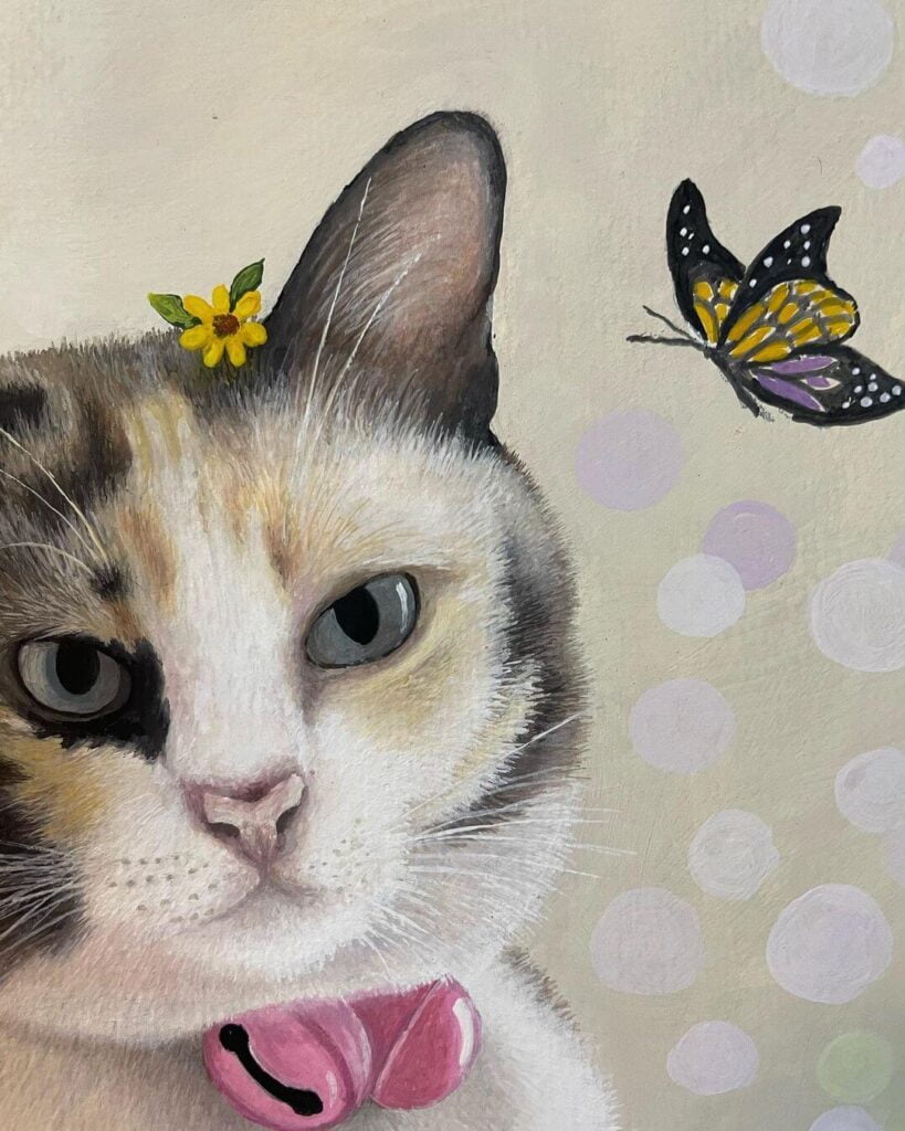 A butterfly and a cat