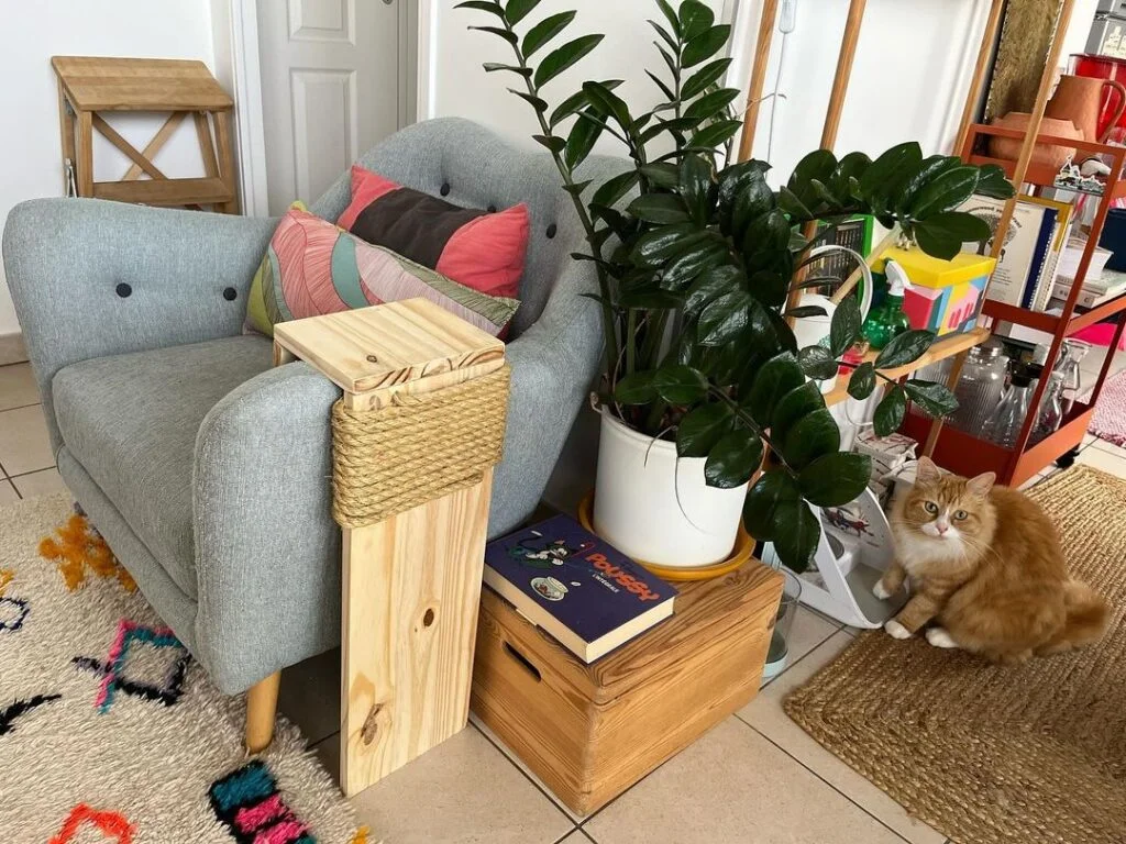 DIY Side Table Cat Scratcher