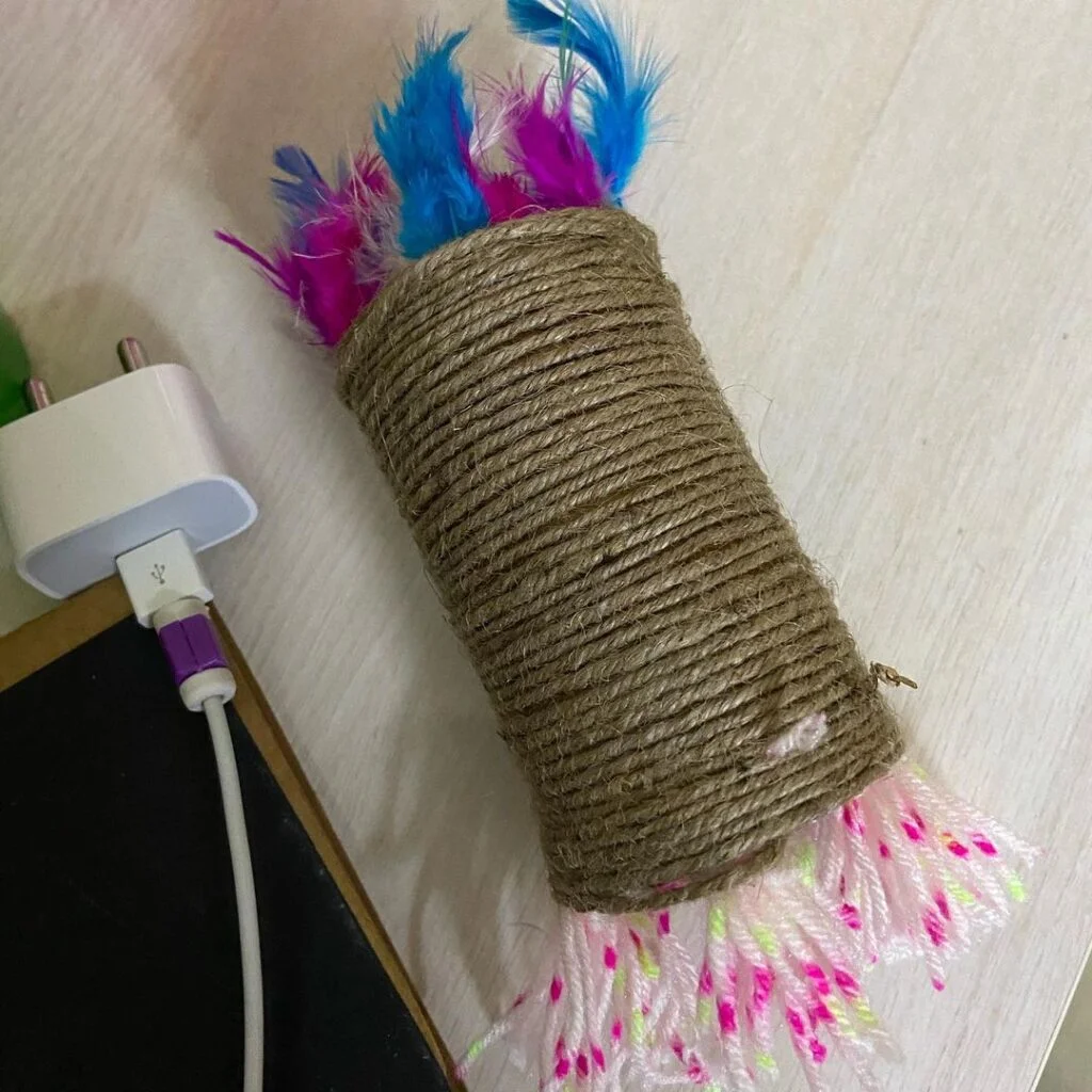 Feathered Toilet Paper Roll Cat Scratcher