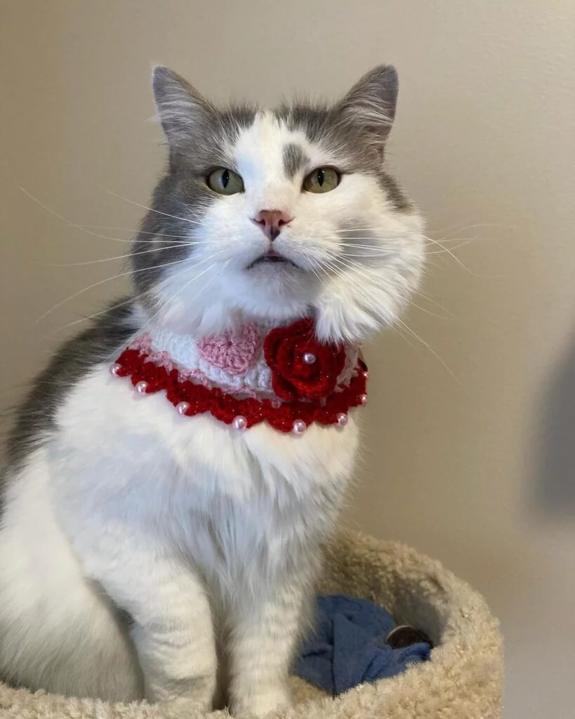 Crocheted Floral 'La Vie en Rose' Cat Collar