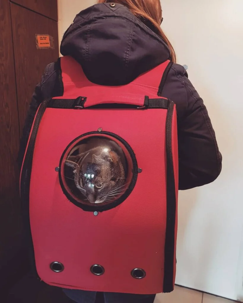 Astronaut Bubble Window Cat Carrier Backpack