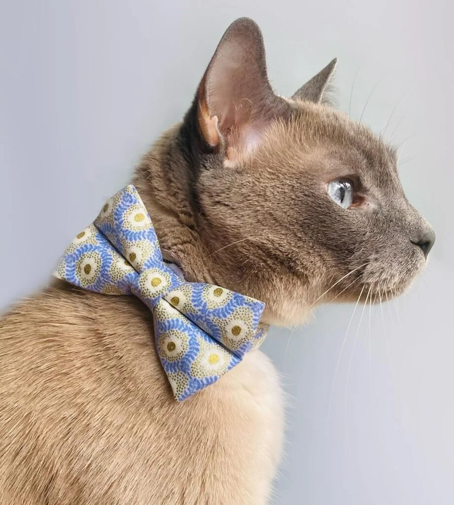 Bow Tie Cat Collar