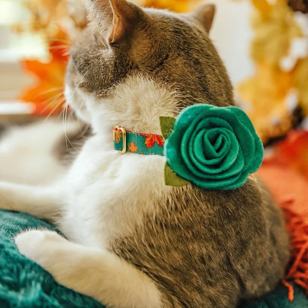 Fall Foliage Rose Cat Collar
