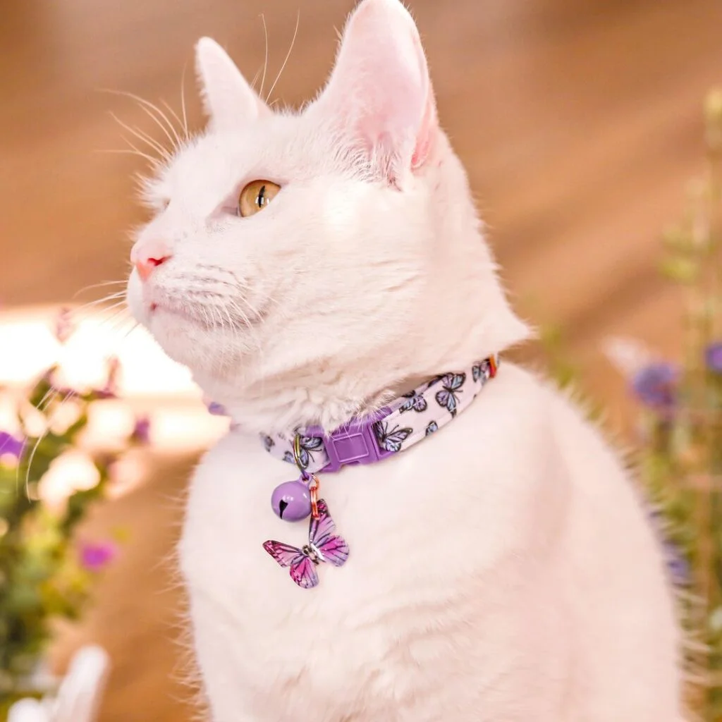 Butterfly Printed Nylon Cat Collar with a bell and pendant