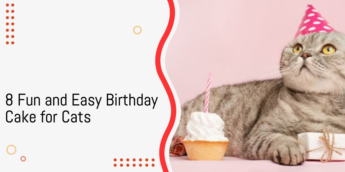 Birthday Cake for Cats