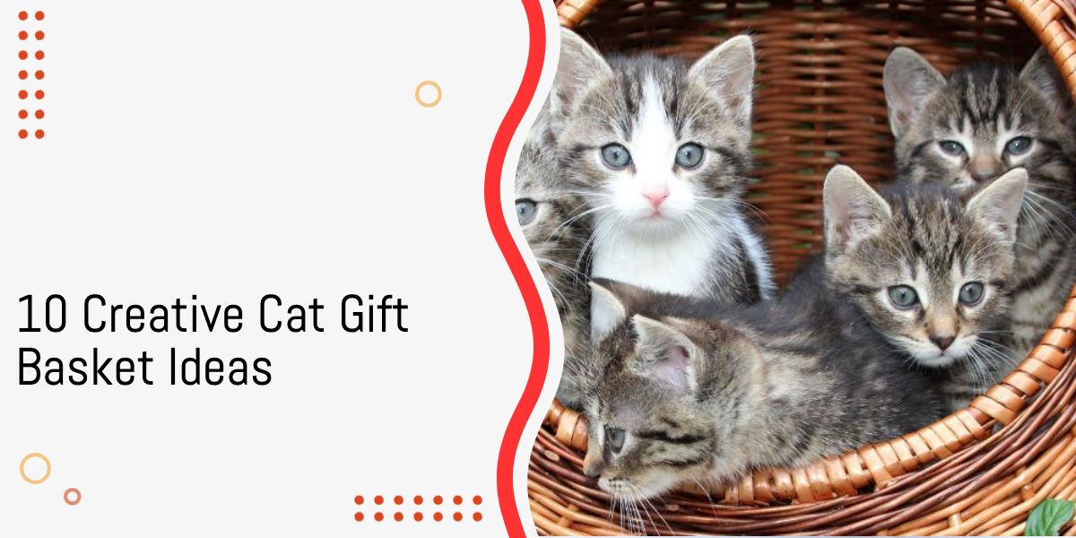 Cat Gift Basket