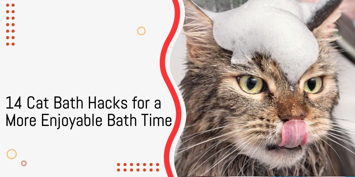 Cat Bath Hacks