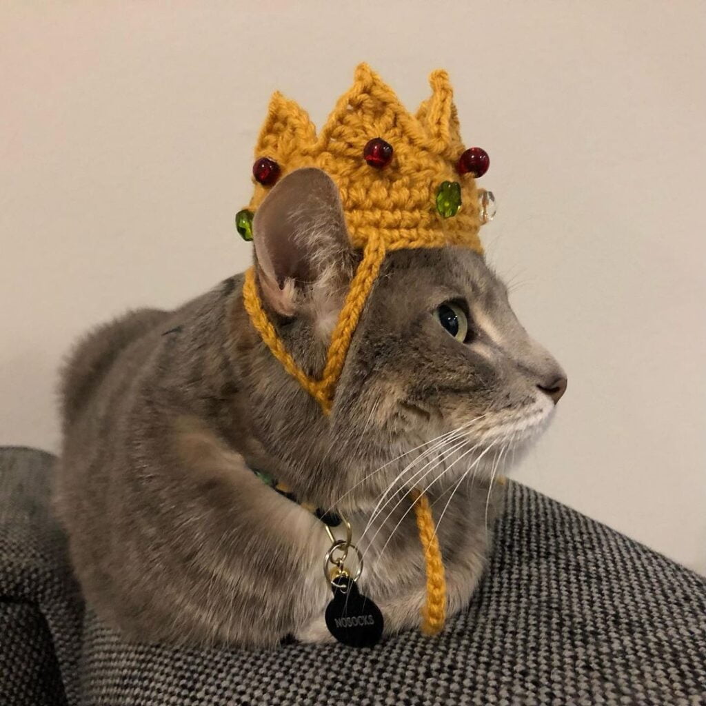 Golden crown shaped crochet cat hat with red and green jewels